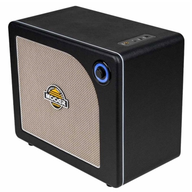 Mooer Hornet 30I Black