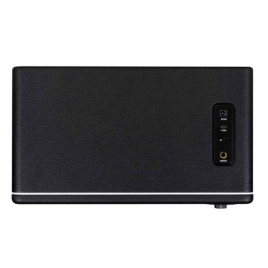 Mooer Hornet 30I Black