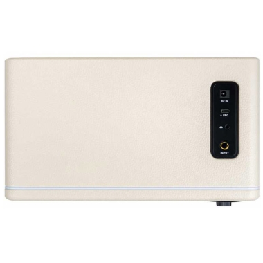 Mooer Hornet 15I White
