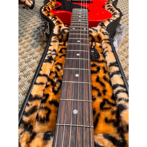 Epiphone Billie Joe...