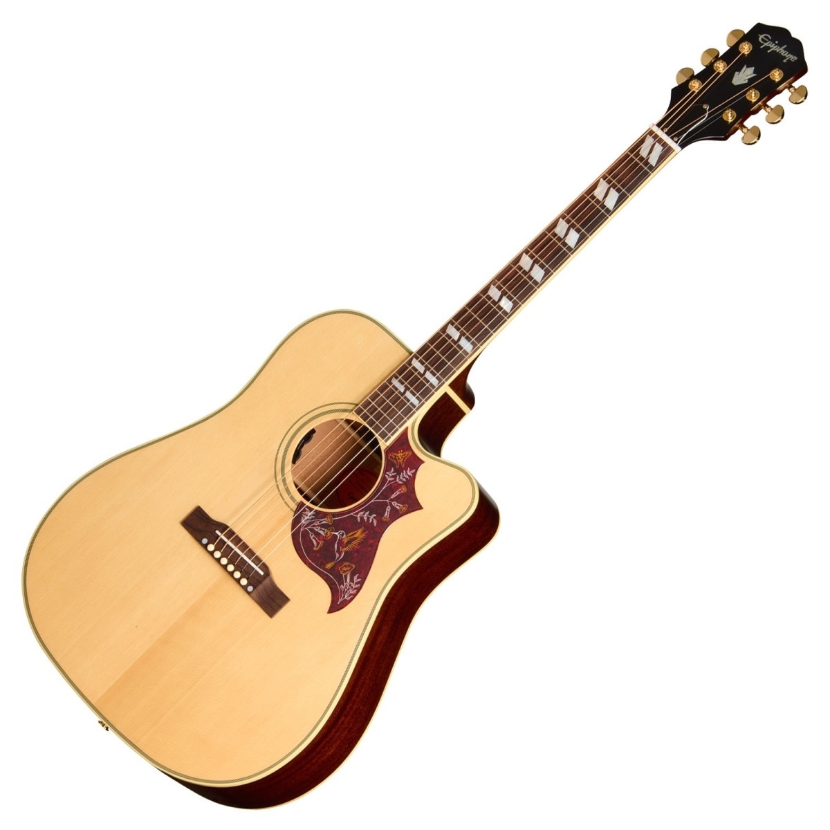 Epiphone Hummingbird Pro EB