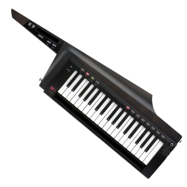 Korg RK-100S 2 Black