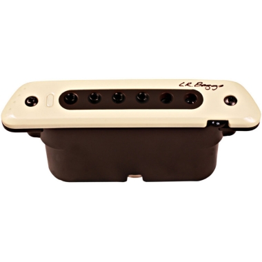 L.R.Baggs M80