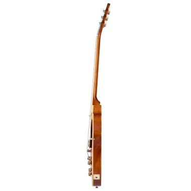 Epiphone Les Paul Standard...