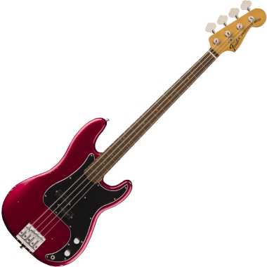 Fender Artist Nate Mendel...