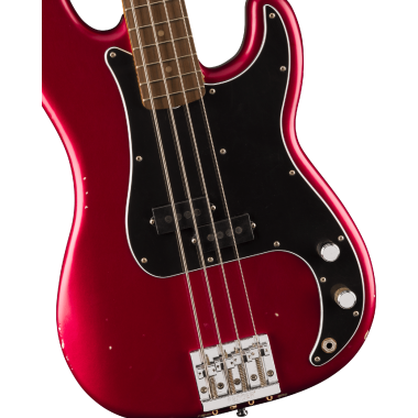Fender Artist Nate Mendel...