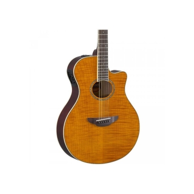 Yamaha APX600FM AM