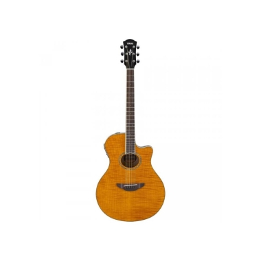 Yamaha APX600FM AM