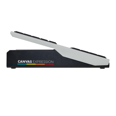 Walrus Audio Canvas Expression
