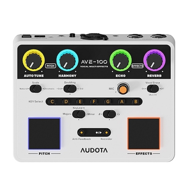 Audota AVE-100
