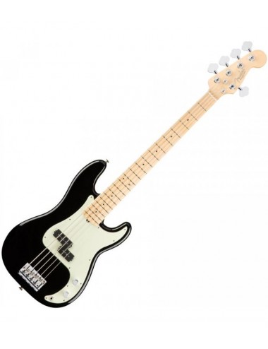 Fender AM Pro P-Bass V MN BLK