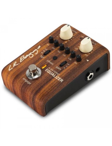 L.R. Baggs Align EQ