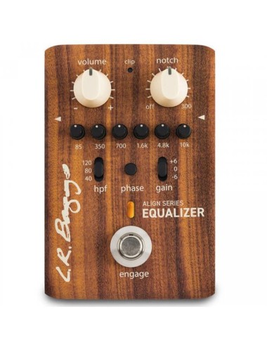 L.R. Baggs Align EQ