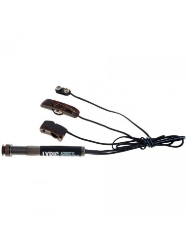 L.R. Baggs Lyric Mic