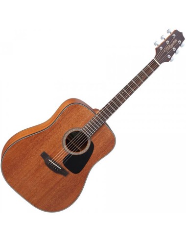 Takamine GD11M-NS