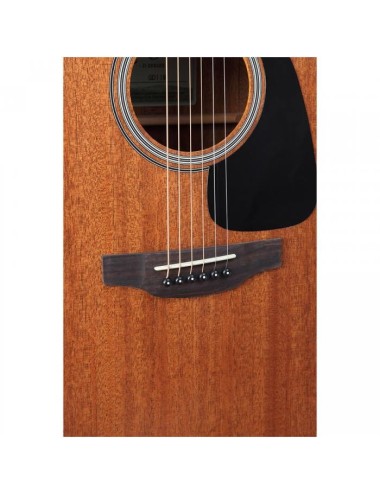 Takamine GD11M-NS