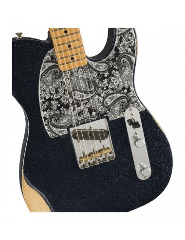 Fender Artist Brad Paisley...