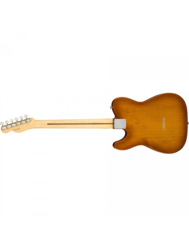 Fender AM Performer Tele RW...