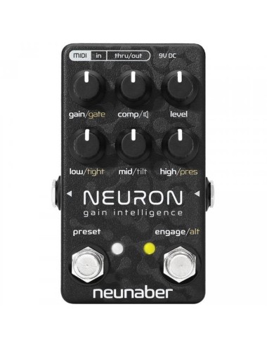 Neunaber Neuron PreAmp