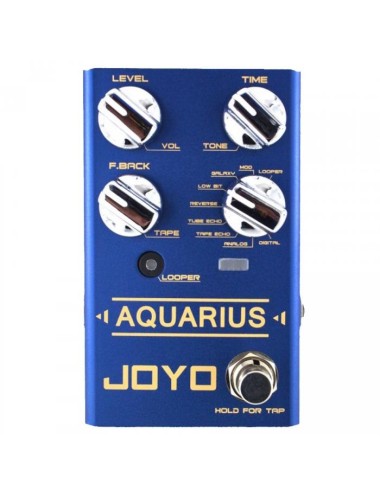 Joyo R-07 Aquarius Delay