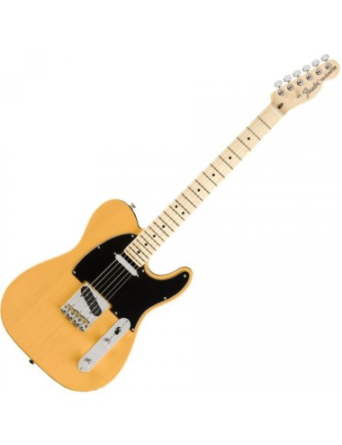 Fender AM Performer Tele MN...