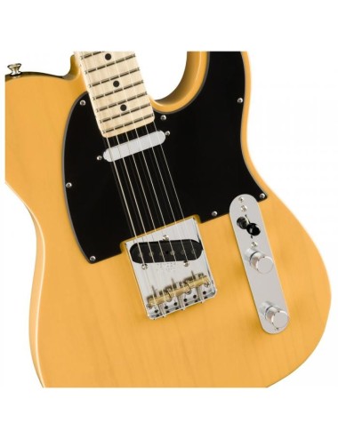 Fender AM Performer Tele MN...