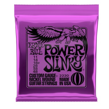 Ernie Ball 2220 Power...