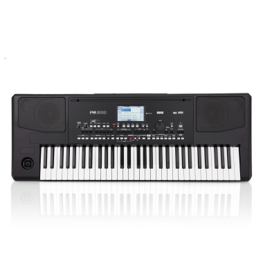 Korg PA300