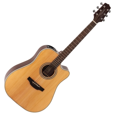 Takamine GD20-EA SN