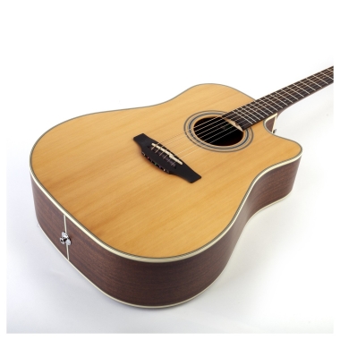 Takamine GD20-EA SN