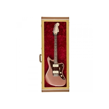 Fender Guitar Display Case...