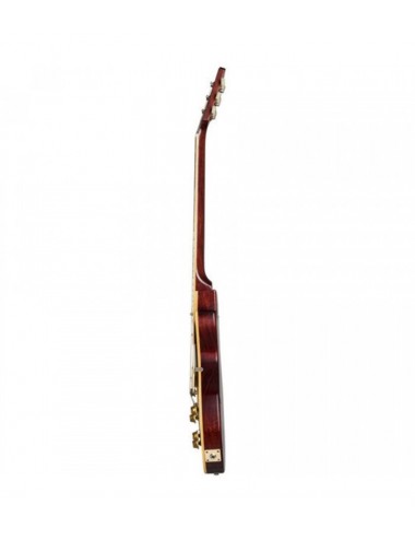 Gibson CS Murphy Lab...