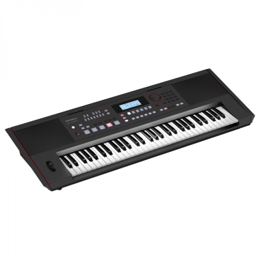 Roland E-X50