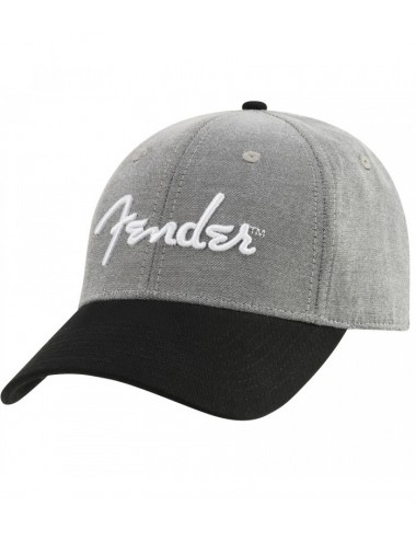 Fender Hipster Dad Hat Gray...