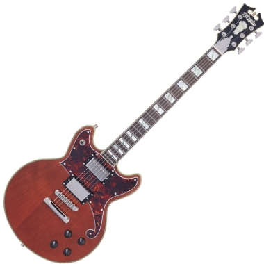 DAngelico Deluxe Brighton MW