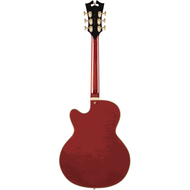 DAngelico Excel 59 VIO