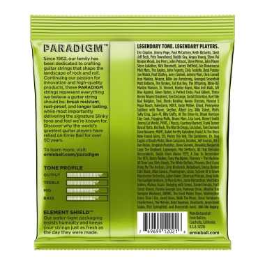 Ernie Ball 2021 Paradigm...