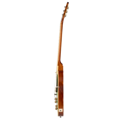 Epiphone Les Paul Standard...