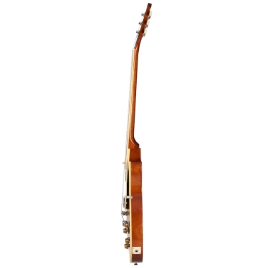 Epiphone Les Paul Standard...
