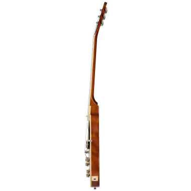 Epiphone Les Paul Standard...