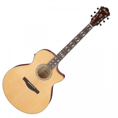 Ibanez AE170-NTR