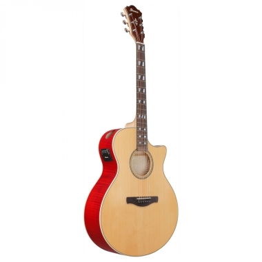 Ibanez AE170-NTR