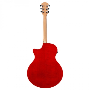 Ibanez AE170-NTR