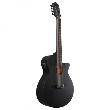 Ibanez AEG721-BOT