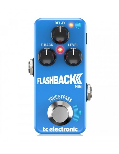 TC Electronic Flashback 2...
