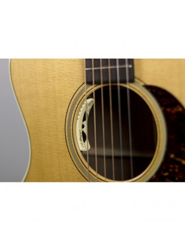 Martin Custom Shop GP-C10019