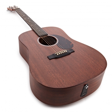 Martin D-10E Sapele