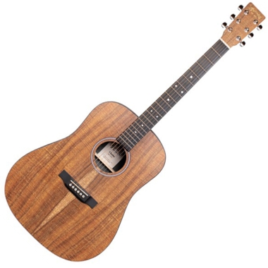 Martin DREADNOUGHT D-X1 A/E...
