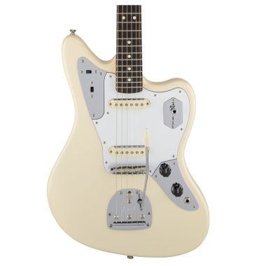 Fender American Artist...