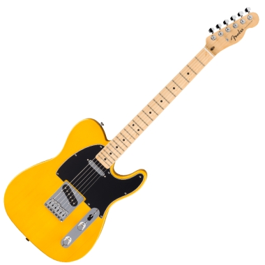 Fender Standard Tele MN BPG...